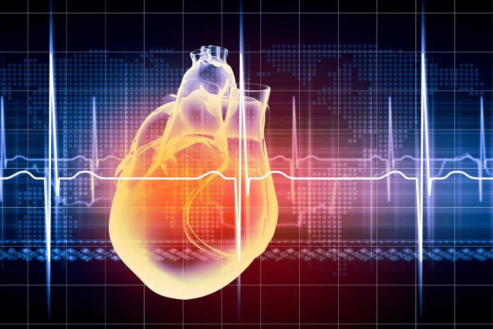 Human-Heart-EKG.jpg