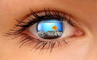 Neurotrophic Keratopathy (NK) Is When the Eye Can’t See What’s Happening