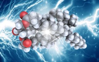 The Power of Triglyceride Research