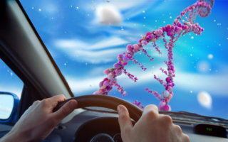 Gene Editing and Cholesterol: The Road Less Traveled