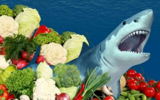 Diving Into The Psychology of Picky Eating May Reveal ARFID